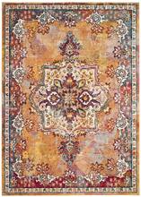 Savannah Boho Transitional 4 X 6 Area Rug